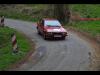 VH Marcillac 2014 - Auto Sport Rodelle - La passion du rallye historique et des voitures anciennes