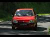 Montée Historique de l'Aveyron 2015 - Auto Sport Rodelle - La passion du rallye historique et des voitures anciennes